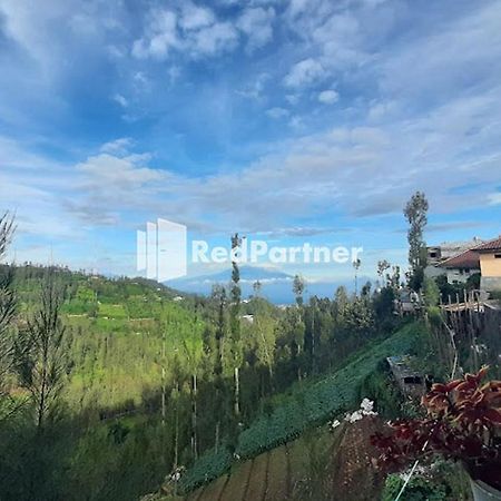 Bromo Indah Lestari Homestay Mitra Reddoorz 岩望 外观 照片