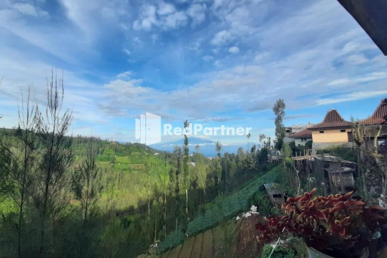Bromo Indah Lestari Homestay Mitra Reddoorz 岩望 外观 照片